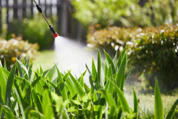 24/7 Emergency Wasp Removal experts in Manton, MI